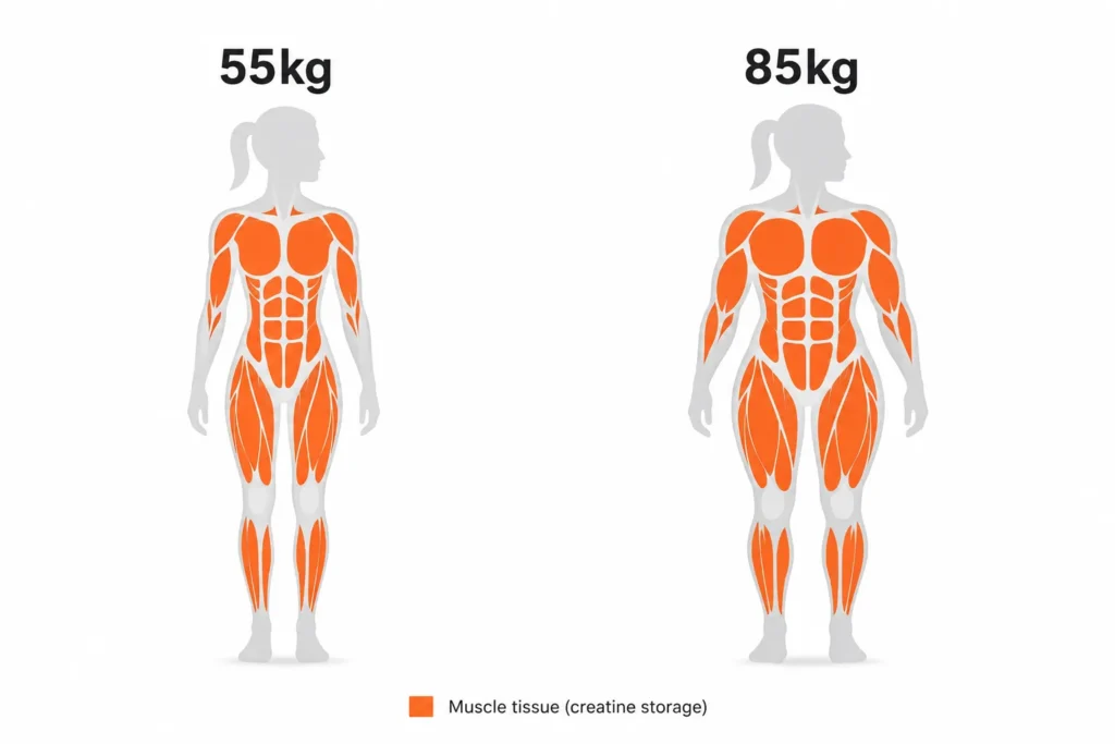 Creatine dose comparison based on different body weights