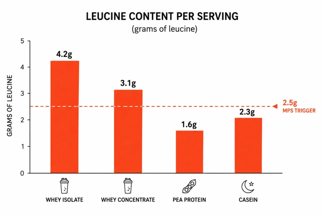 Leucine levels in whey casein and plant protein compared visually