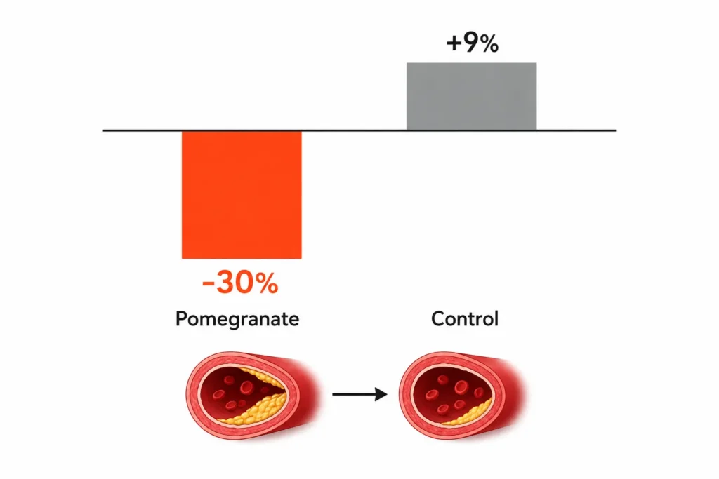 Pomegranate study chart showing reduced arterial plaque progression over one year