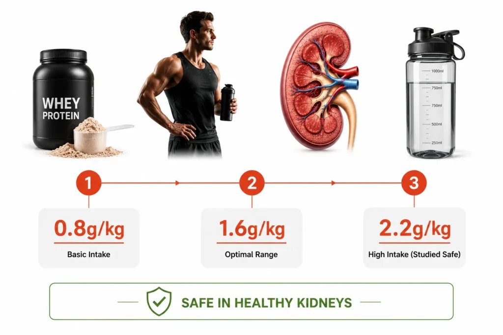 Safe whey protein intake levels for healthy kidney function