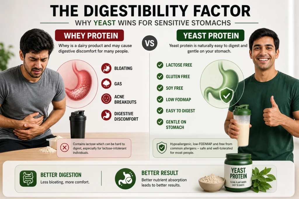 whey protein digestion issues vs yeast protein easy digestion
