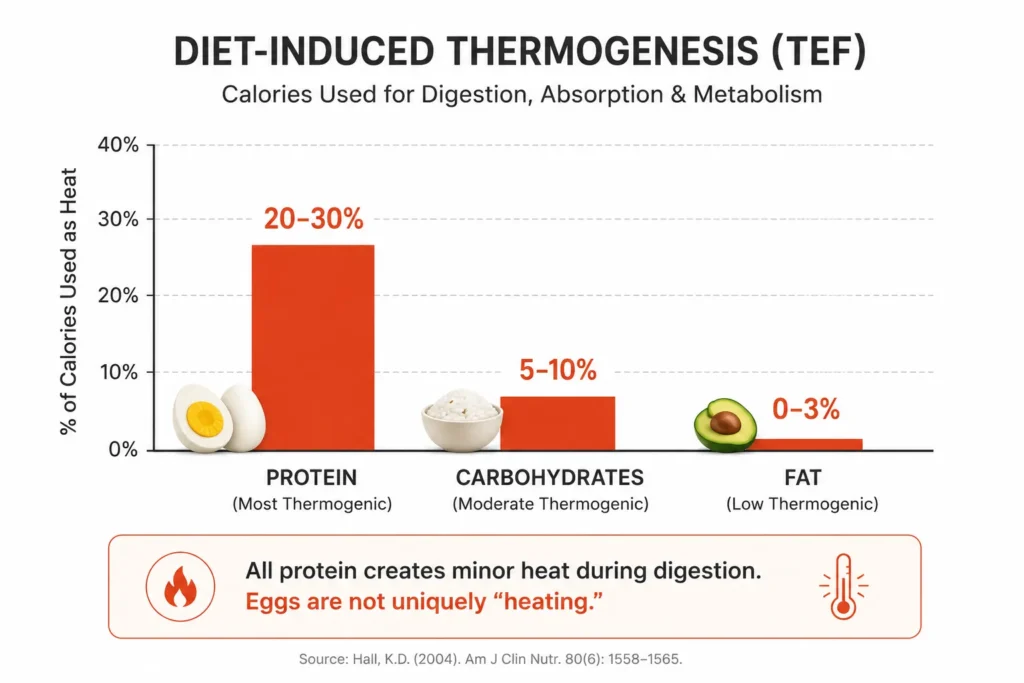 Protein carbohydrate and fat thermic effect comparison chart