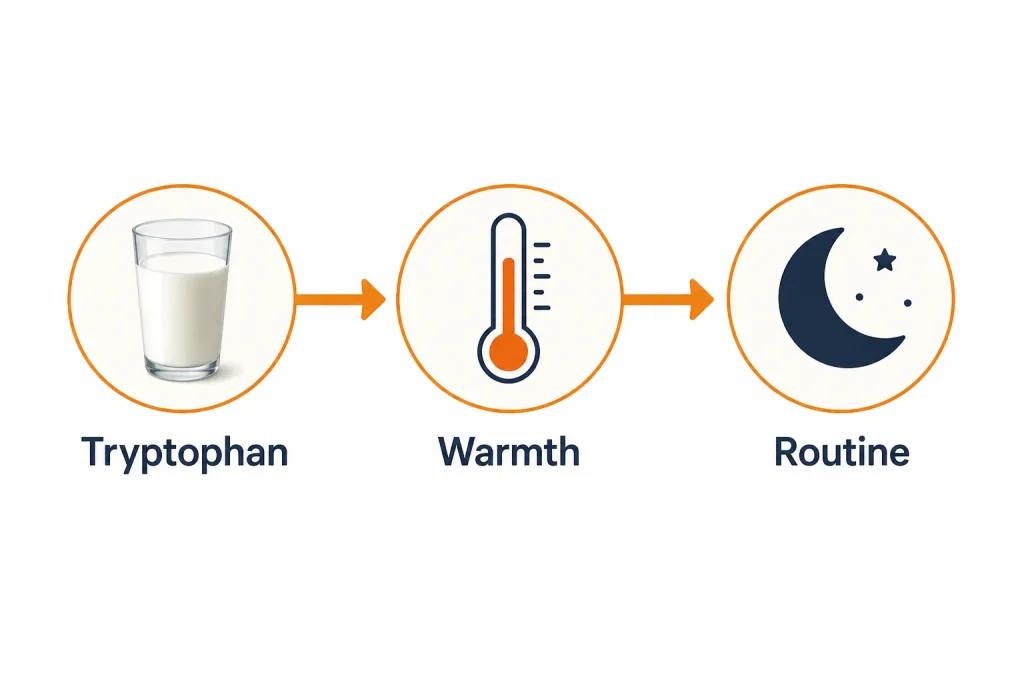 Three pathways showing how warm milk supports sleep onset
