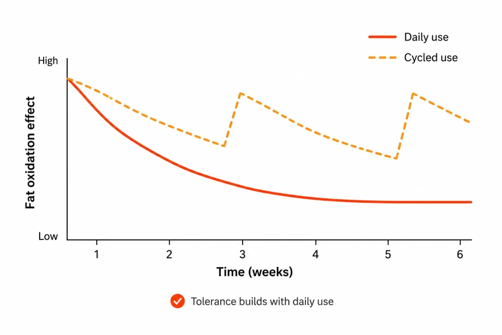 Line graph showing caffeine's fat oxidation effect declining over weeks as tolerance builds